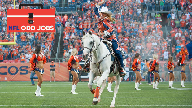 broncos-horse-mascot-thunder-iii-nfl-odd-jobs.jpg
